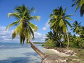 Доминиканская республика: Экскурсии - Остров Саона