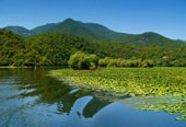 Черногория: Экскурсии - Скадарское озеро