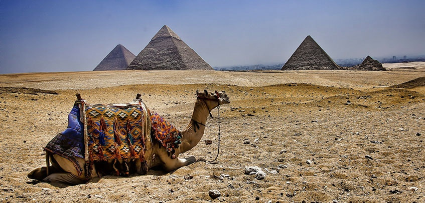 путевки в Египет на Новый год